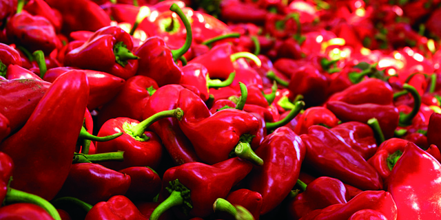 Basquetronomy Basque Peppers